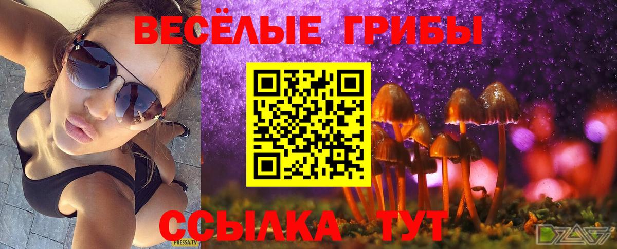 Псилоцибиновые грибы Cubensis  Вход с VPN  Псилоцибиновые грибы Psilocybe  Калуга 